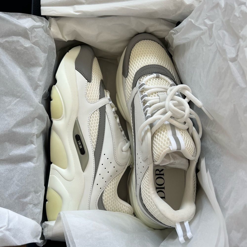 B22 DIOR SNEAKERS